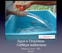 A Qualidade da Água e a Cattleya walkeriana